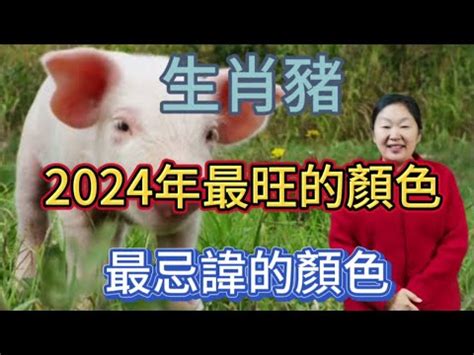 屬豬的幸運色|2024豬年開運色速查